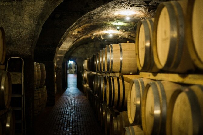 Full Day Small Group Wine Tour Cape Town and Stellenbosch - Why this Stellenbosch day works so well