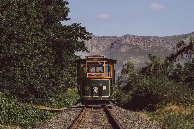 Full-Day Stellenbosch, Franschhoek and Paarl Wine Tasting Tour from Cape Town - Marianne Wine Estate and the wine-and-cheese stop
