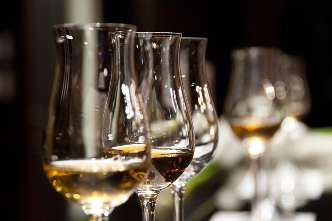Full-Day Stellenbosch, Franschhoek and Paarl Wine Tasting Tour from Cape Town - How much wine time will you really get?