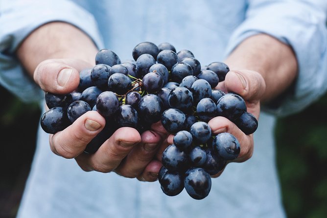 Full-Day Stellenbosch, Franschhoek and Paarl Wine Tasting Tour from Cape Town - Price, inclusions, and practical value