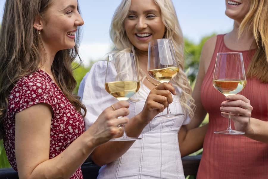 Full-Day Swan Valley Wineries with Lunch and River Cruise - Key points at a glance