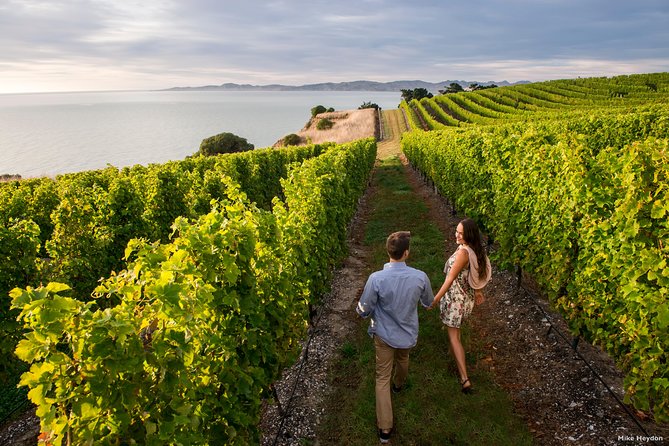 Full-Day Taste the Wines of Marlborough Tour - What makes this Marlborough wine day special