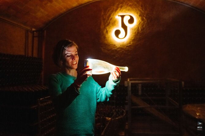 Full-Day Trip Barcelona to Montserrat Monastery & Cava Winery - The drive into cava country