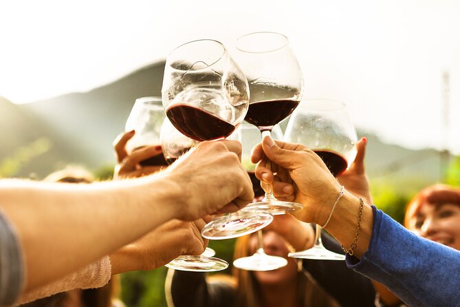 Full-Day Wine Tasting Tour in Auckland with 3-Course Vineyard Lunch - Is $123.49 good value?