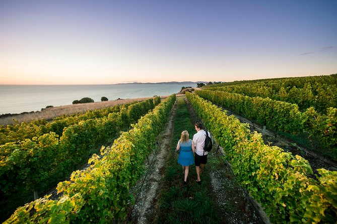 Full Day Winemakers Tour in Marlborough - Why this Marlborough tour works so well