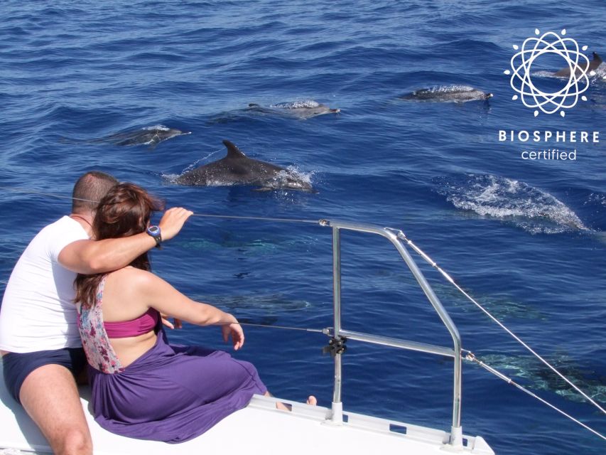 Funchal: Cabo Girão, Wines Tasting and Dolphins Watching - Key points at a glance