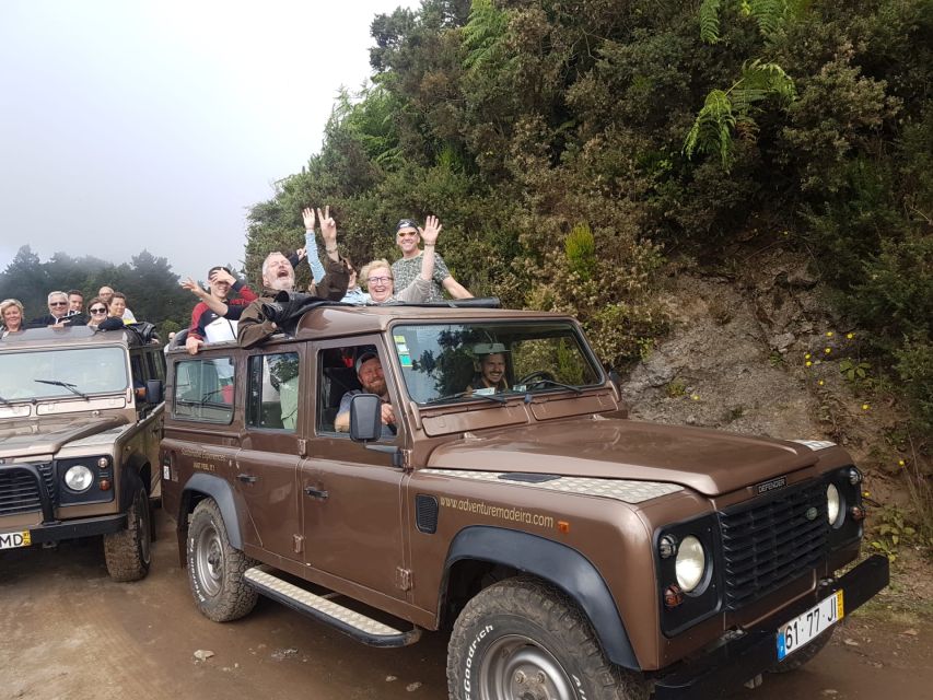 Funchal: Cabo Girão, Wines Tasting and Dolphins Watching - Who will enjoy this tour most