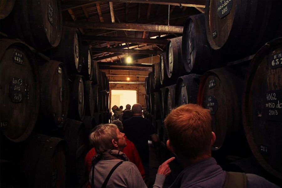 Funchal: H.M. Borges Winery Guided Tour with Wine Tasting - Key points to know before you go