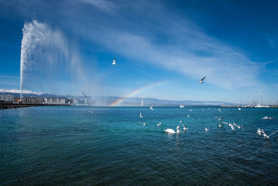 Geneva: Scenic Lake Cruise with Snacks and Wine - Who should book this Lake Geneva cruise?