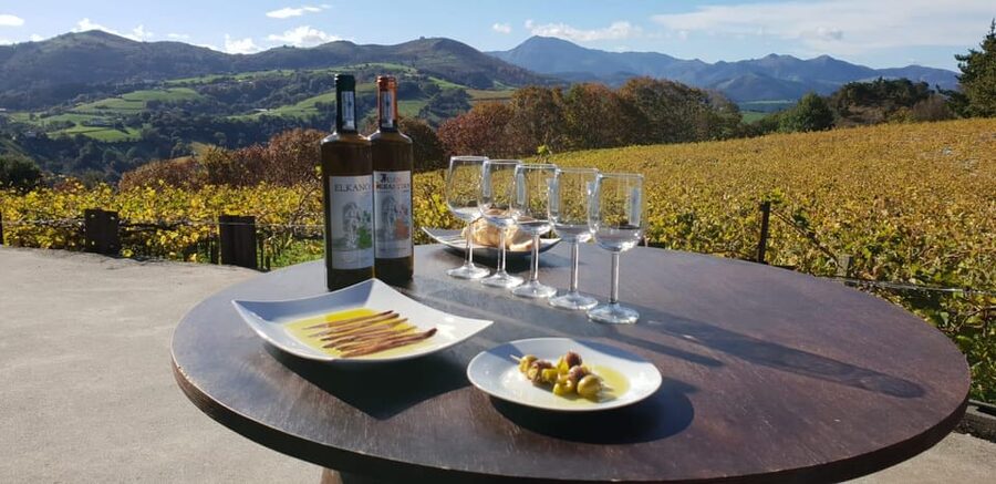 Getaria Txakoli wine tour from San Sebastian - Who will enjoy this tour most?