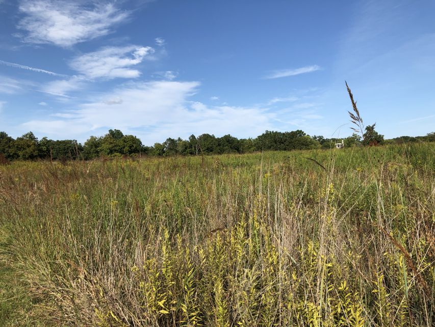 Gettysburg: Beer, Wine, and History Guided Walking Tour - Should you book this Gettysburg walking tour?
