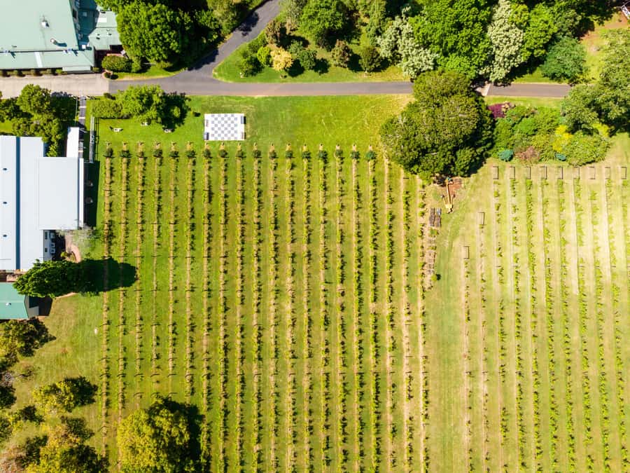 Gold Coast: Premium Wine Tour with Gourmet Lunch - First winery: a gentle start to the tastings