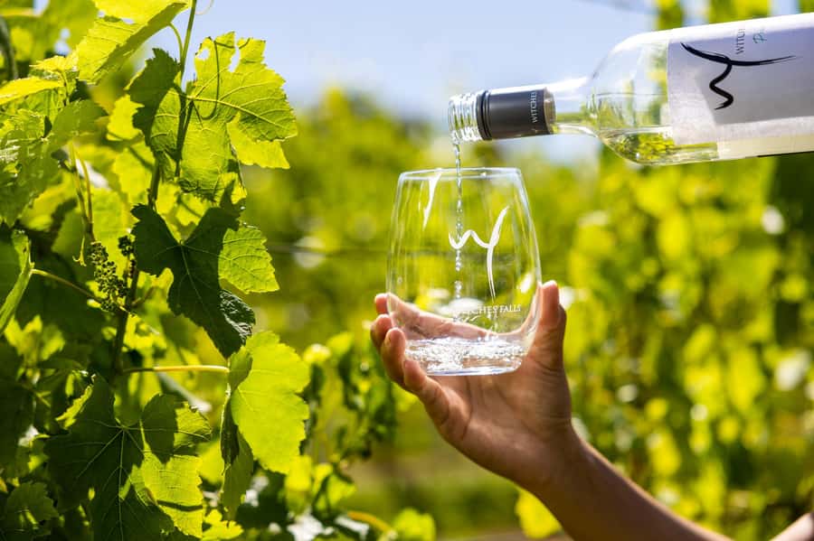Gold Coast: Premium Wine Tour with Gourmet Lunch - Tamborine Mountain Distillery and the change to spirits