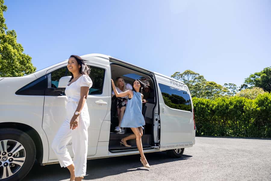 Gold Coast: Premium Wine Tour with Gourmet Lunch - What the $211 price really covers