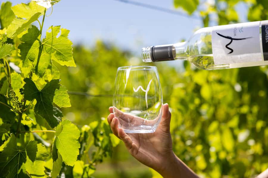 Gold Coast: Tamborine Mountain Local Winery Tour with Lunch - Monday and Tuesday have a different rhythm