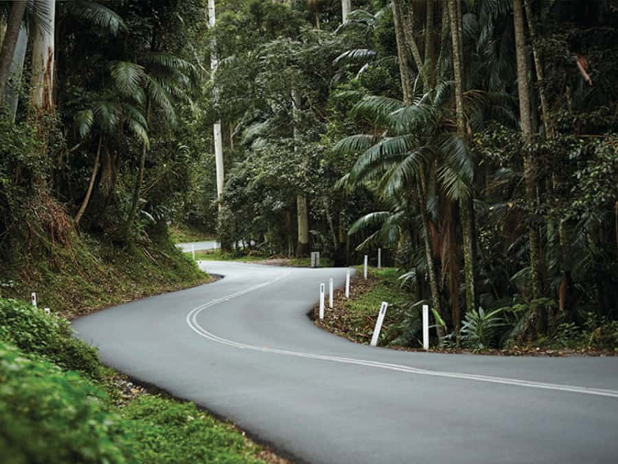 Gold Coast: Tamborine Mountain Local Winery Tour with Lunch - Transport and timing are real advantages