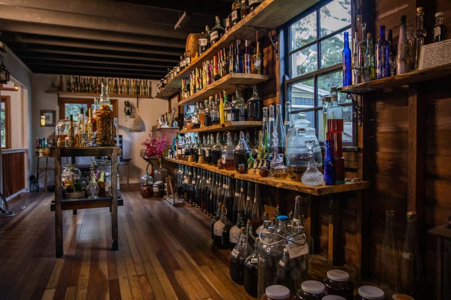 Gold Coast: Tamborine Mountain Local Winery Tour with Lunch - Is $162 a fair price?