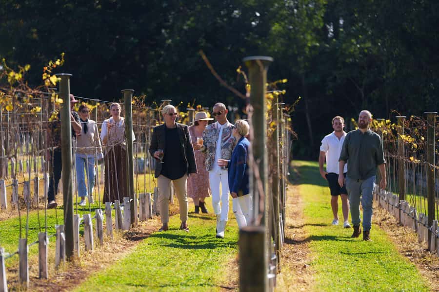 Gold Coast: Tamborine Mountain Wine Tour - What the day feels like from pickup to return