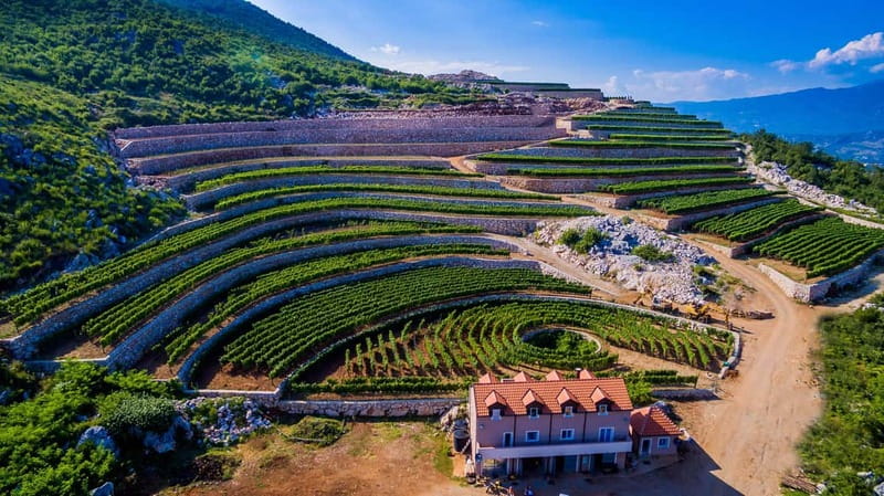 Građani: Winery Tour and Tasting at Winery Lipovac - The underground cellar and French oak barrels