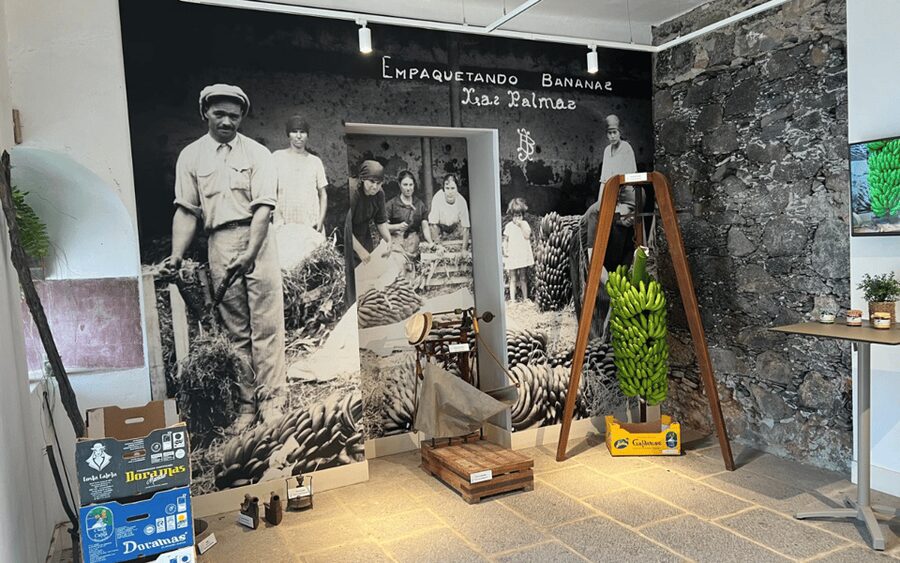 Gran Canaria: Rum, Wines and Banana Tour - A break at Playa de las Nieves in Agaete