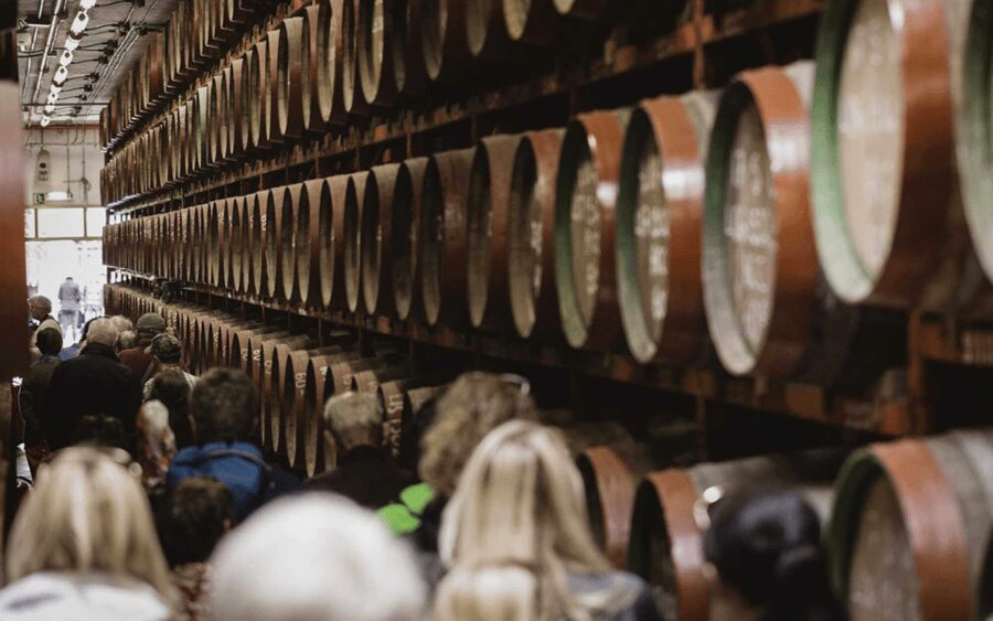 Gran Canaria: Rum, Wines and Banana Tour - Who will enjoy this day most?