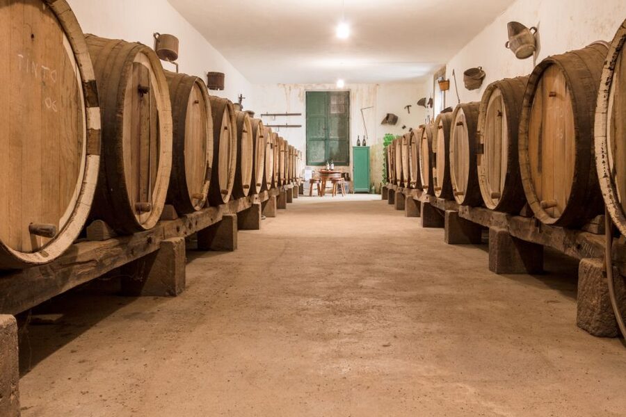 Gran Canaria: Winery Tour, Wine Museum, and Tasting - The Stone Lagar and Gran Canaria’s Older Wine Traditions