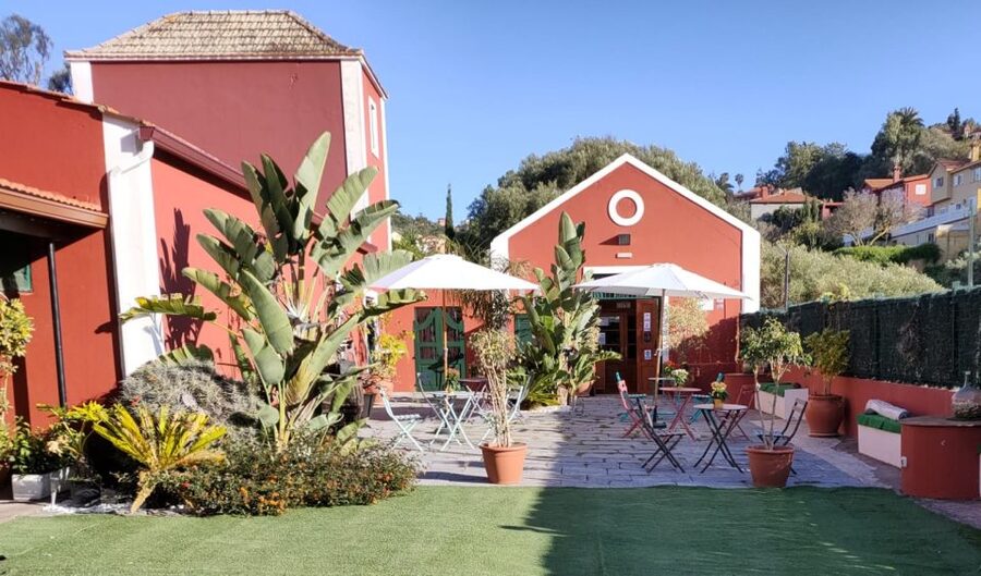 Gran Canaria: Winery Tour, Wine Museum, and Tasting - Is $34 Good Value for 90 Minutes?