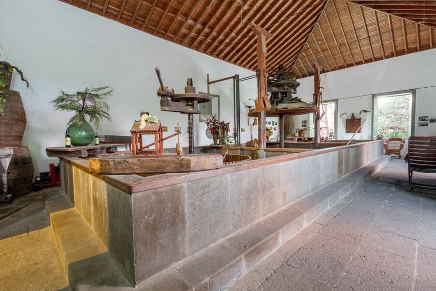 Gran Canaria: Winery Tour, Wine Museum, and Tasting - Who Should Book This Bodega Visit?