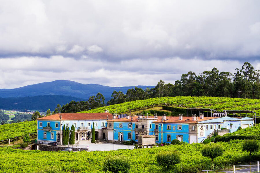 Granbazán Winery: Guided Tour and Wine Tasting - Key points at a glance