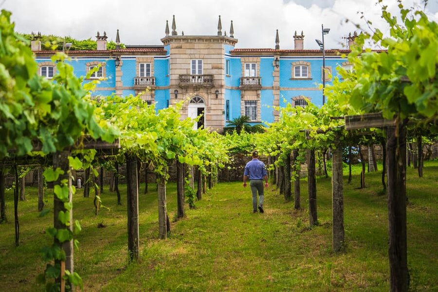 Granbazán Winery: Guided Tour and Wine Tasting - Seeing how the winery produces its wines