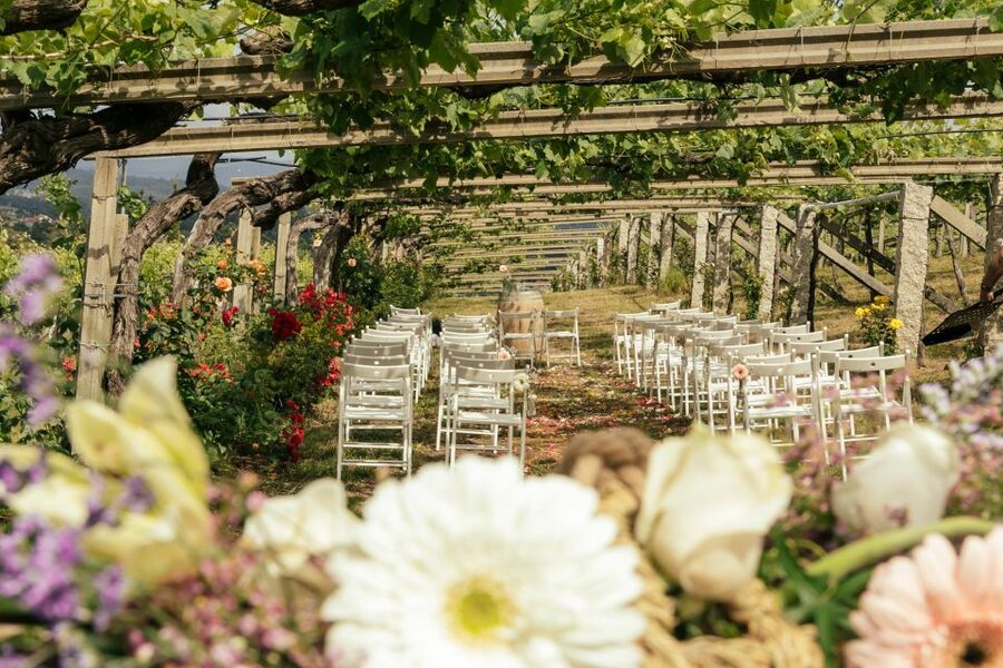 Granbazán Winery: Guided Tour and Wine Tasting - Getting to the winery from Santiago or Vilagarcía