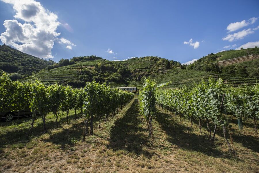 Grape Grazing: Wachau Valley Winery Biking Tour - Why the Wachau Valley Works So Well by Bicycle