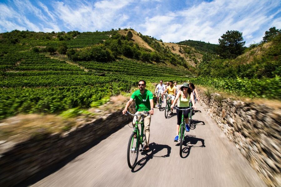 Grape Grazing: Wachau Valley Winery Biking Tour - Krems to Dürnstein by Bike
