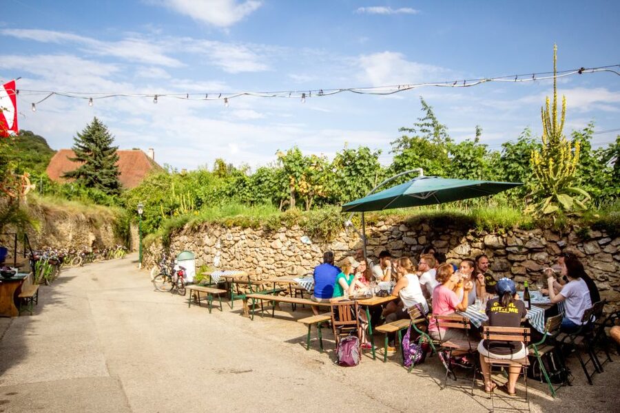 Grape Grazing: Wachau Valley Winery Biking Tour - Dürnstein: Wine, Stone Streets, and a Castle Hike