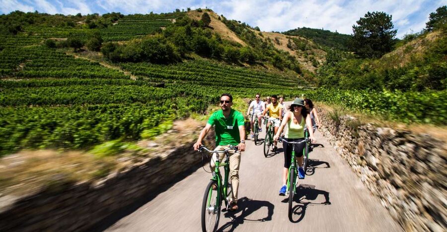 Grape Grazing: Wachau Valley Winery Biking Tour - The Vienna to Krems Train Ride
