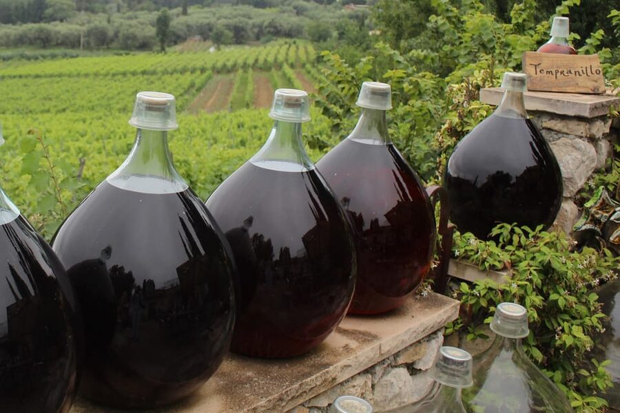 Grasse, Valbonne & Gourdon: Day Tour with Wine Tasting - The Bellet Winery Adds a Local Finish