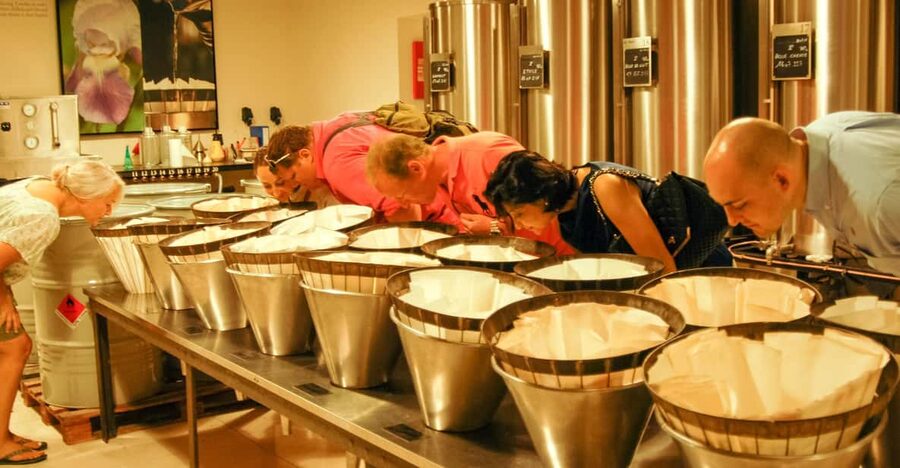 Grasse, Valbonne & Gourdon: Day Tour with Wine Tasting - Grasse Begins with Perfume and Leather
