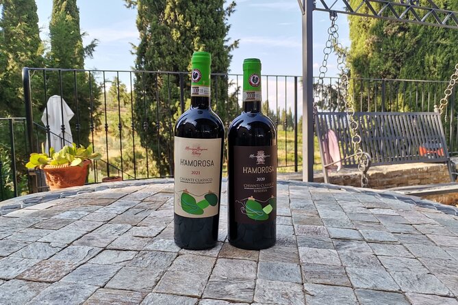Greve in Chianti Wine Tasting and Winery Tour - Arriving at Azienda Agricola Brogioni Maurizio