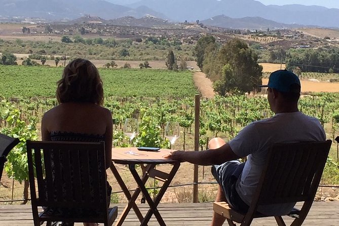 Guadalupe Valley Wine Route Tour in Baja California - Smaller wineries, vineyards, and changing routes