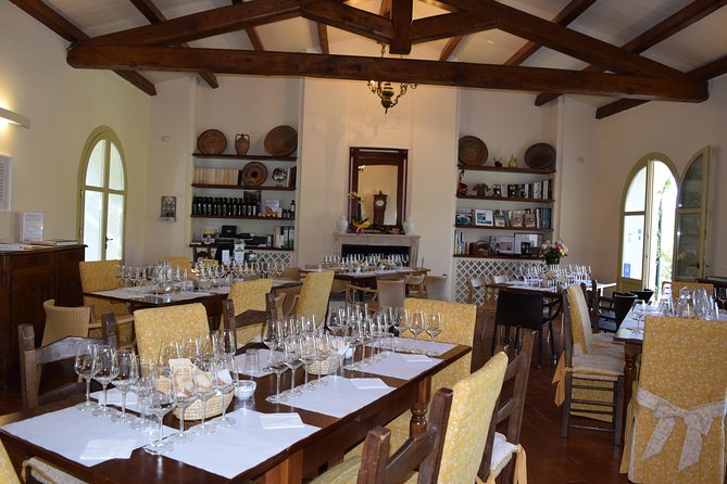 Guided Wine and Olive oil tasting - Key points to know before you go