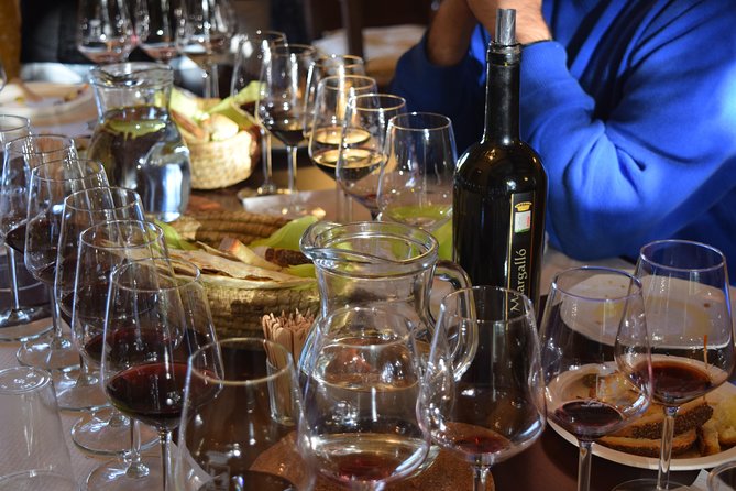 Guided Wine and Olive oil tasting - Arriving at the Dopolavoro farm