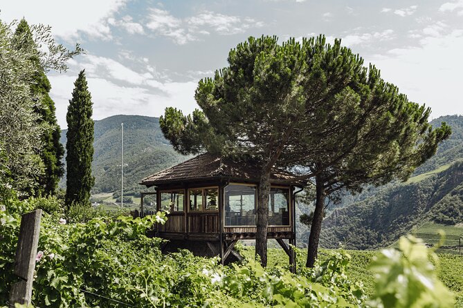 Guided winery tour with tasting in Bolzano at the SKYWINE PAVILLON - Key points about the SKYWINE PAVILLON tour
