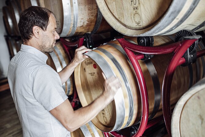 Guided winery tour with tasting in Bolzano at the SKYWINE PAVILLON - What to expect in the wine cellar