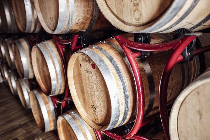Guided winery tour with tasting in Bolzano at the SKYWINE PAVILLON - Practical tips for a smoother visit