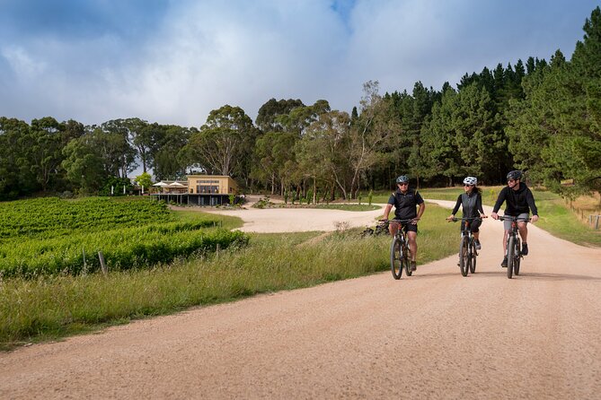 Hahndorf food and wine E-Bike Tour - Riding through Hahndorf’s historic main street