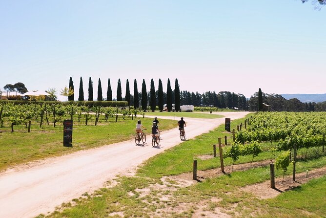 Hahndorf food and wine E-Bike Tour - Shaw and Smith brings the serious wine tasting