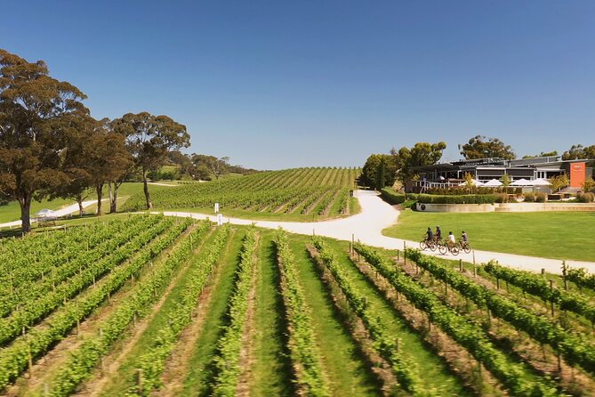 Hahndorf food and wine E-Bike Tour - What the $182.90 price really covers