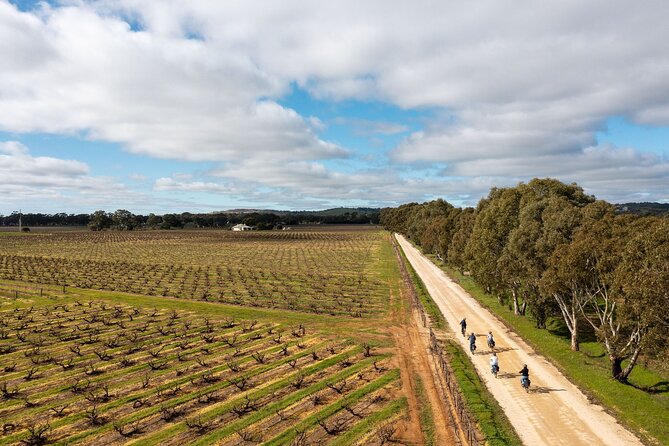 Hahndorf food and wine E-Bike Tour - Starting at The Lane Vineyard at 9:00 a.m.