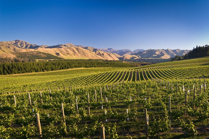 Half-Day Marlborough Wine Tour & Beer Tour - Hunter’s offers gardens and outdoor tasting