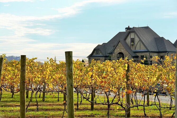 Half-Day North Georgia Wine Country Tour From Atlanta - Ott Farms and Vineyard with mountain views